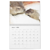 Calendrier 2026 Clara's Corner Groundhog Calendar B (Mar 2026)
