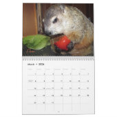 Calendrier 2026 Clara's Corner Groundhog Calendar F (Mar 2026)