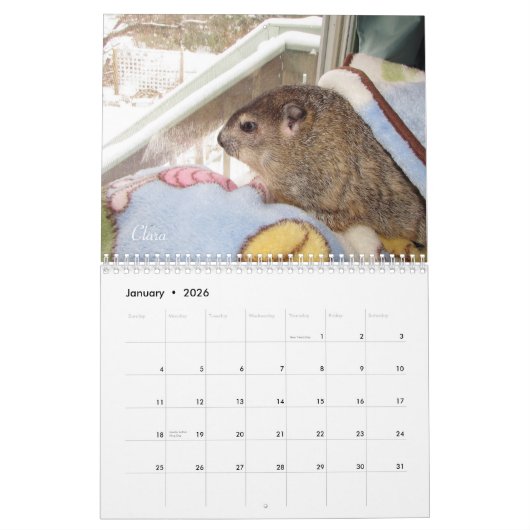 Calendrier 2026 Clara's Corner Groundhog Calendar F (Jan 2026)