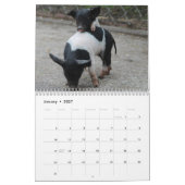 Calendrier 2026 Cochon-Porcelet (Jan 2027)