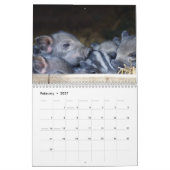 Calendrier 2026 Cochon-Porcelet (Feb 2027)