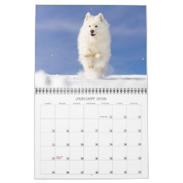 Calendrier 2026 CRB Calendar