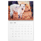 Calendrier 2026 Cute Galloway Cow Cattle Watercolour Painting (Mar 2026)