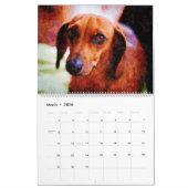 Calendrier 2026 Daschund Wiener Dog  (Mar 2026)