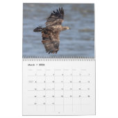 Calendrier 2026 de Bald Eagle (Mar 2026)