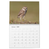 Calendrier 2026 de la Chouette brulante (Jan 2027)