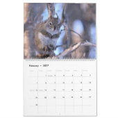 Calendrier 2026 de M. Bickles l'écureuil (Feb 2027)