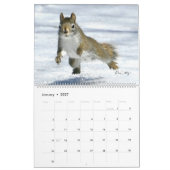 Calendrier 2026 de M. Bickles l'écureuil (Jan 2027)
