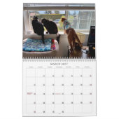 Calendrier 2026 de TCF et ses amis (Mar 2027)