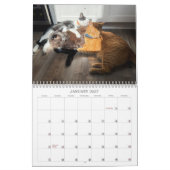 Calendrier 2026 de TCF et ses amis (Jan 2027)