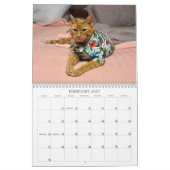 Calendrier 2026 de TCF et ses amis (Feb 2027)