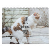 Calendrier 2026 des chats de baleine (Protection)