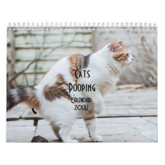 Calendrier 2026 des chats de baleine