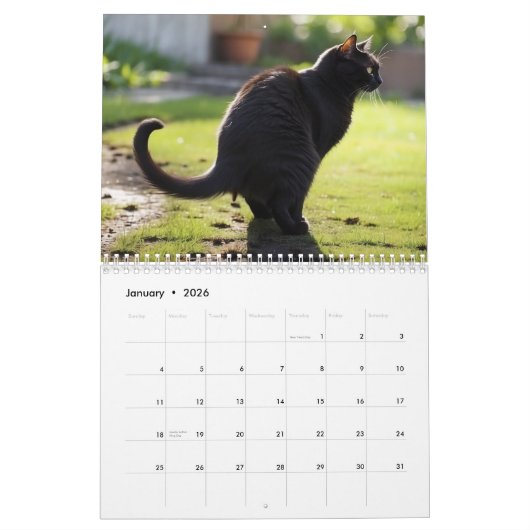 Calendrier 2026 des chats de baleine (Jan 2026)
