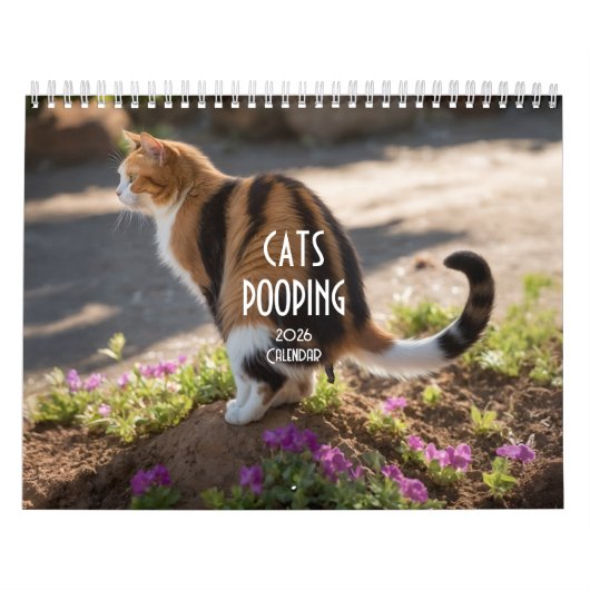 Calendrier 2026 des chats de baleine (Protection)