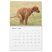 Calendrier 2026 des chiens de baleine (Feb 2027)