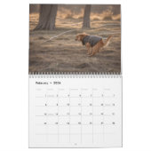 Calendrier 2026 des chiens de baleine (Feb 2026)