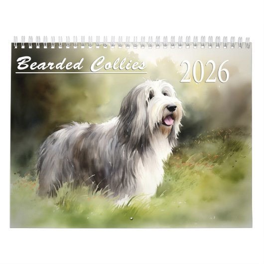 Calendrier 2026 des collies barrées (Protection)