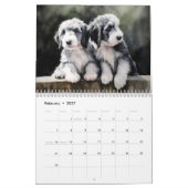 Calendrier 2026 des collies barrées (Feb 2027)