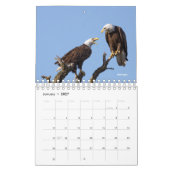 Calendrier 2026 des oiseaux (Jan 2027)