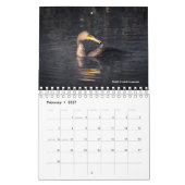 Calendrier 2026 des oiseaux (Feb 2027)