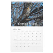 Calendrier 2026 des oiseaux du Wisconsin (Mar 2027)