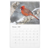 Calendrier 2026 des oiseaux du Wisconsin (Feb 2027)