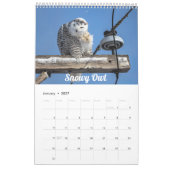 Calendrier 2026 des oiseaux du Wisconsin (Jan 2027)