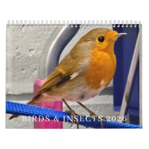 Calendrier 2026 des oiseaux et insectes