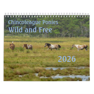 Calendrier 2026 des poneys sauvages et libres de C