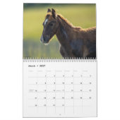 Calendrier 2026 des poneys sauvages et libres de C (Mar 2027)