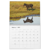 Calendrier 2026 des poneys sauvages et libres de C (Feb 2027)
