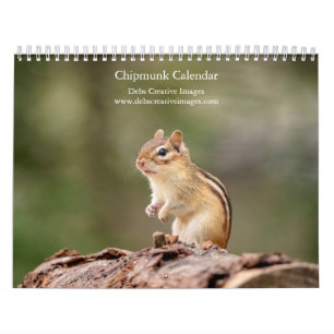 Calendrier 2026 du Tamia – Faune des Adirondacks