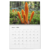 Calendrier 2026 Enchanted Mushroom Photo (Mar 2026)