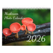 Calendrier 2026 Enchanted Mushroom Photo (Protection)
