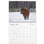 Calendrier 2026 Equine Calendar (Feb 2027)