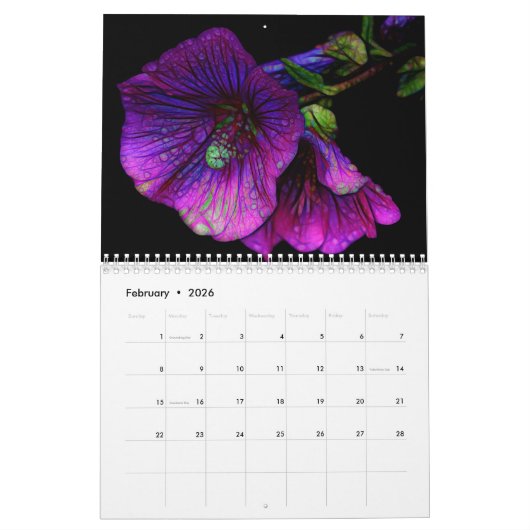 Calendrier 2026 Extraordinaire Fractal Art Psychedelic (Feb 2026)