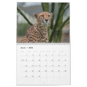 Calendrier 2026 Fast and the Beautiful : Collection Cheetah (Mar 2026)