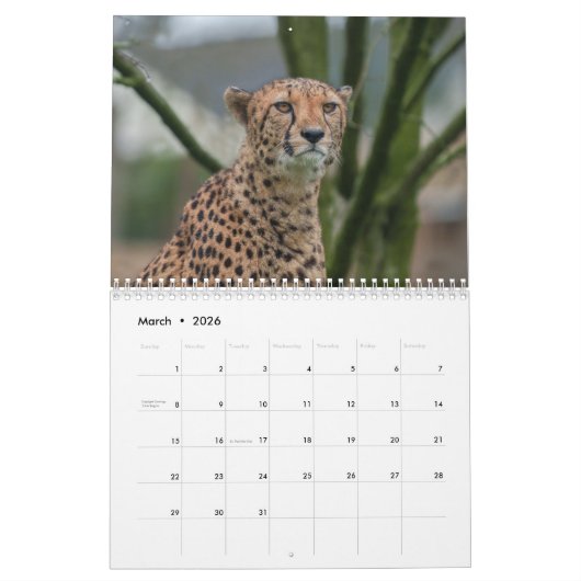 Calendrier 2026 Fast and the Beautiful : Collection Cheetah (Mar 2026)
