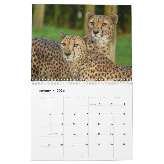 Calendrier 2026 Fast and the Beautiful : Collection Cheetah (Jan 2026)