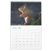 Calendrier 2026 Faune Écossaise (Jan 2027)