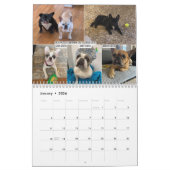 Calendrier 2026 FBRN French Bulldog Rescue Network Calendar (Jan 2026)