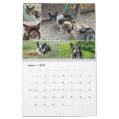 Calendrier 2026 FBRN French Bulldog Rescue Network Calendar (Mar 2027)
