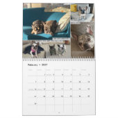 Calendrier 2026 FBRN French Bulldog Rescue Network Calendar (Feb 2027)