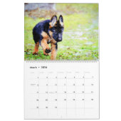 Calendrier 2026 German Shepherd Alsatian Dog Lover GSD Gift (Mar 2026)
