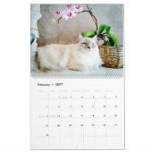 Calendrier 2026 Gorgeous Rag Doll Cat Mam Lover Owner Gift (Feb 2027)