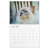 Calendrier 2026 Gorgeous Rag Doll Cat Mam Lover Owner Gift (Mar 2027)