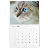 Calendrier 2026 Gorgeous Rag Doll Cat Mam Lover Owner Gift (Jan 2027)