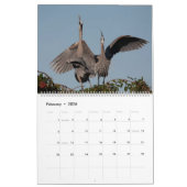 Calendrier 2026 Great Blue Heron Courting Displays Calendar (Feb 2026)