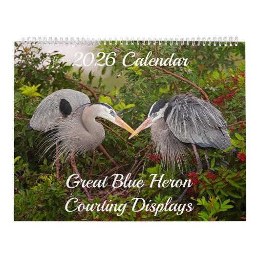 Calendrier 2026 Great Blue Heron Courting Displays Calendar (Protection)
